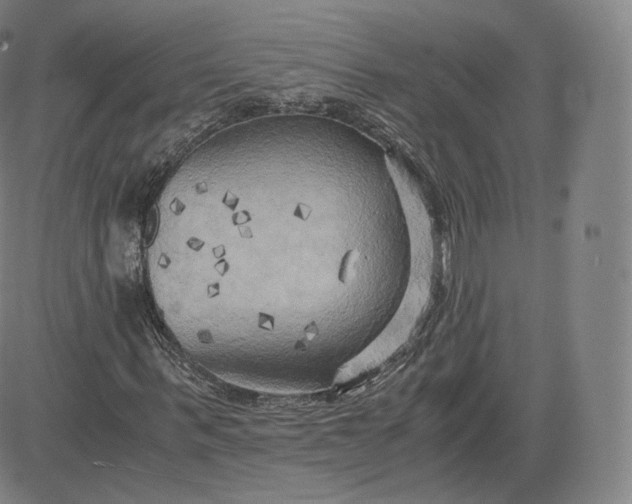 X0000083560963200702231559