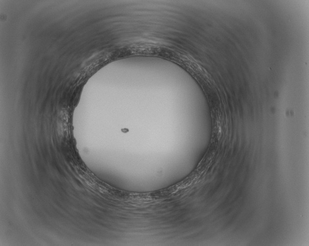 X0000083560964200702231559