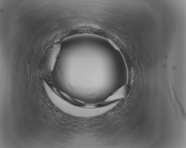 X0000083560965200702231559