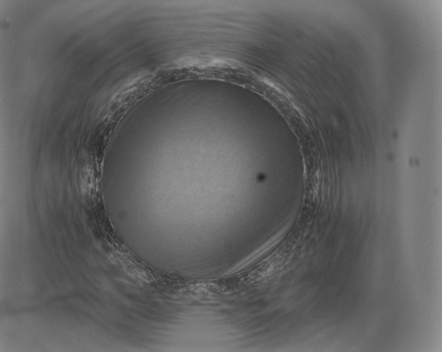 X0000083560966200702231559