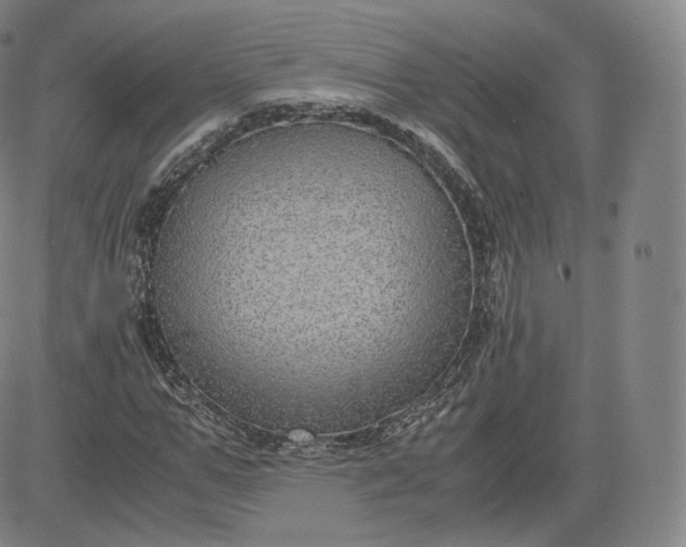 X0000083560967200702231559