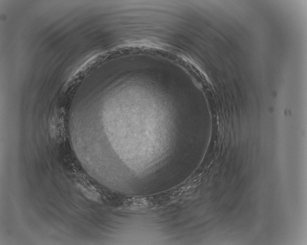 X0000083560968200702231559