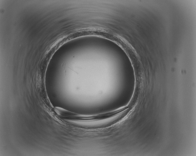 X0000083560969200702231559