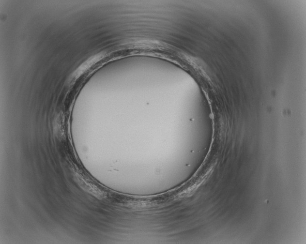 X0000083560970200702231559