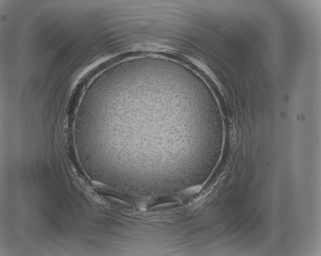 X0000083560971200702231559