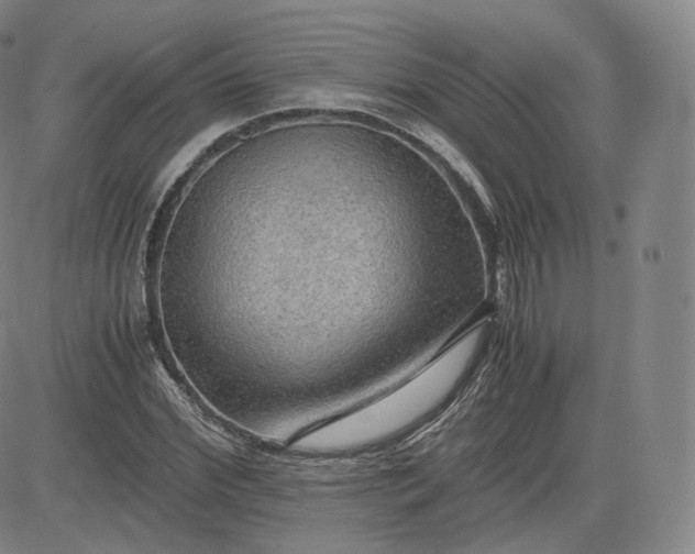 X0000083560972200702231559