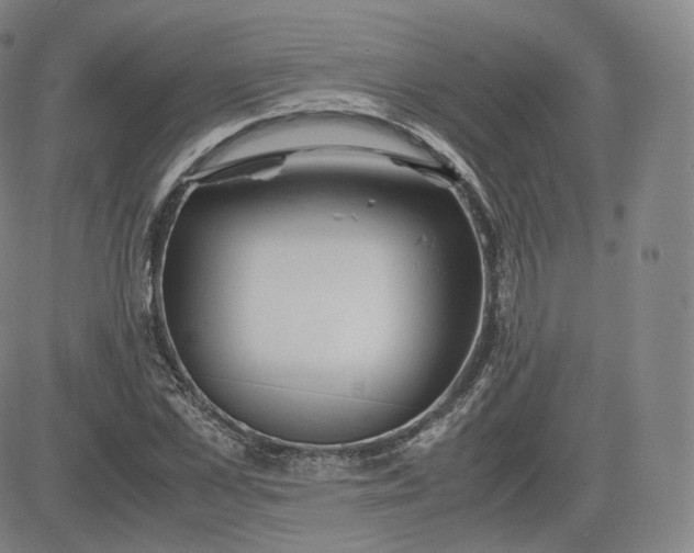 X0000083560973200702231559