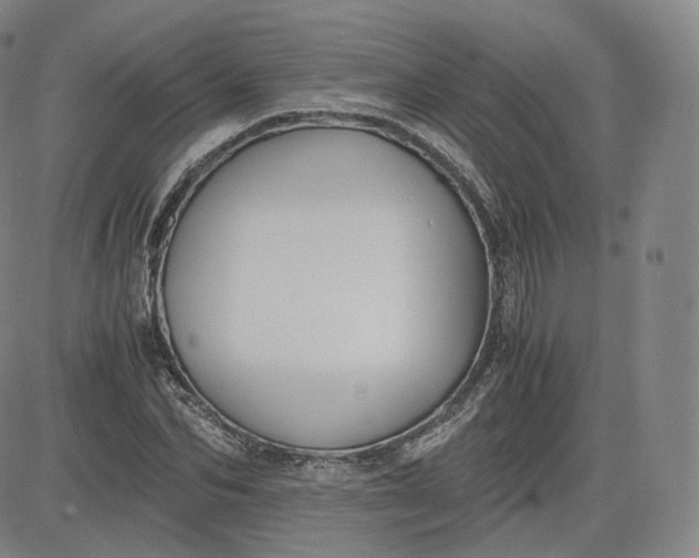 X0000083560974200702231559