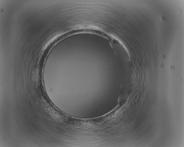 X0000083560975200702231559