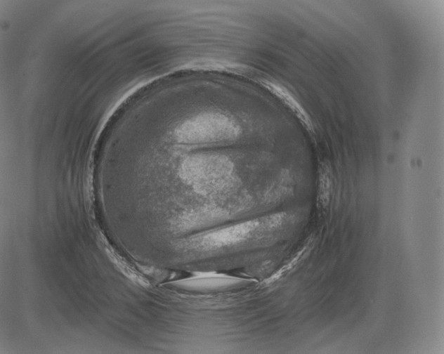 X0000083560976200702231559