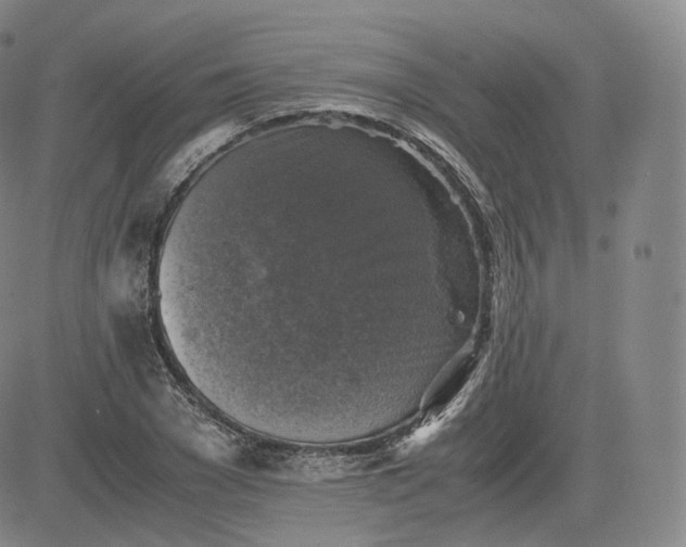 X0000083560977200702231559