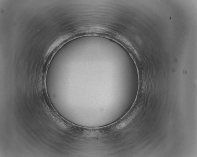 X0000083560978200702231559