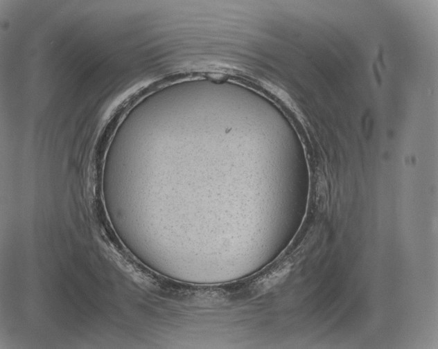 X0000083560979200702231559