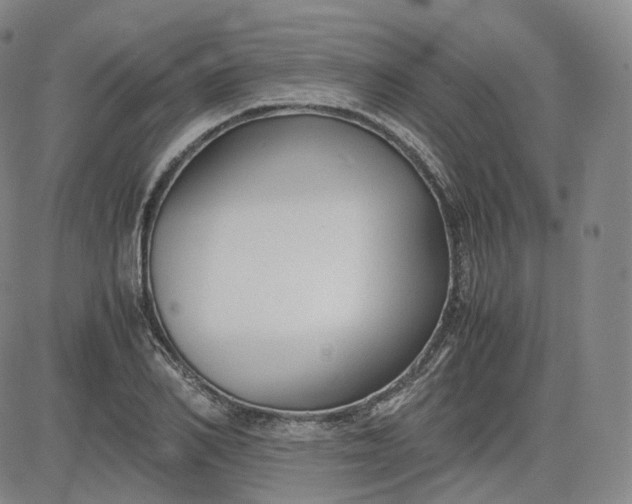 X0000083560982200702231559