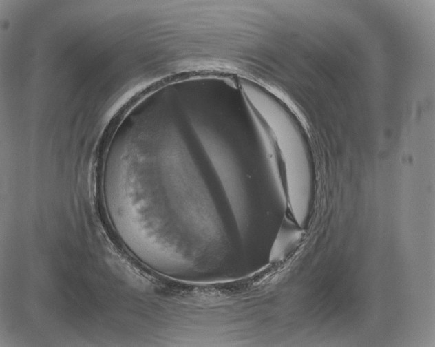 X0000083560983200702231559