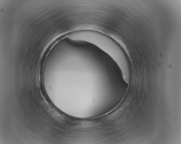 X0000083560984200702231559