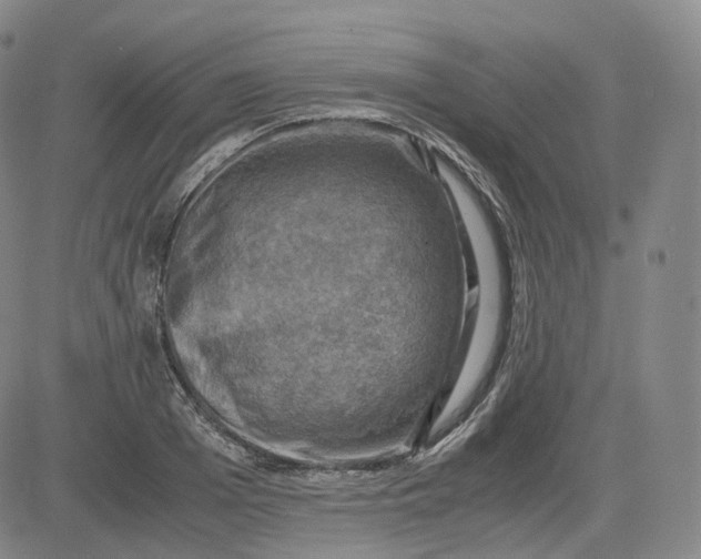 X0000083560985200702231559