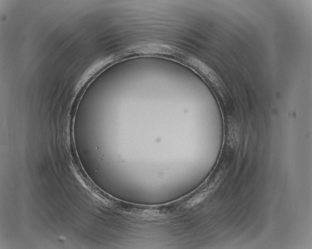 X0000083560986200702231559