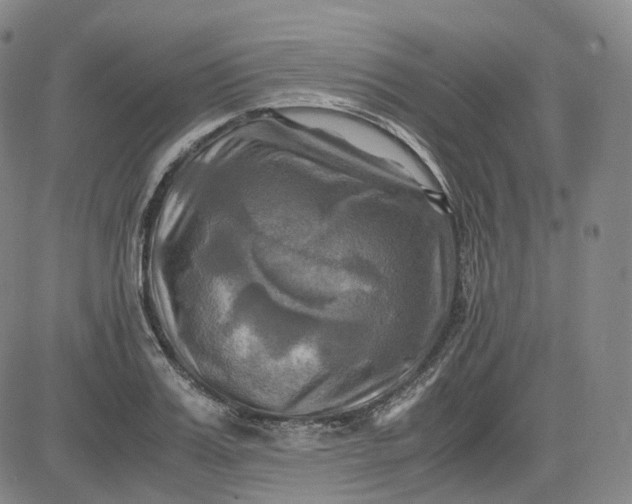 X0000083560987200702231559