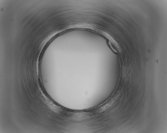 X0000083560988200702231559