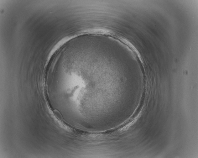 X0000083560989200702231558