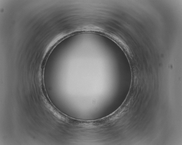 X0000083560990200702231558