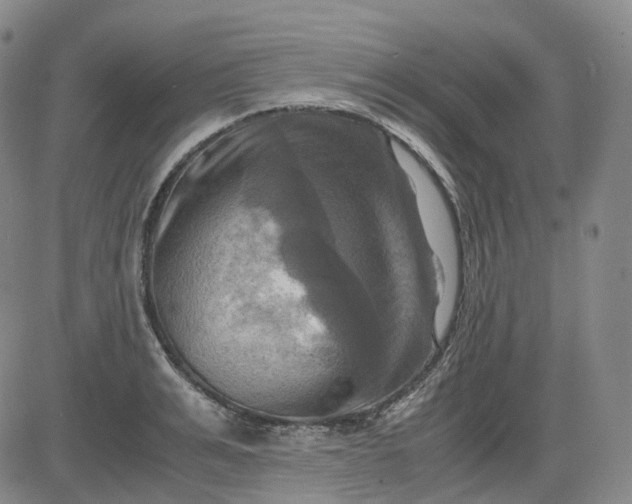 X0000083560991200702231558