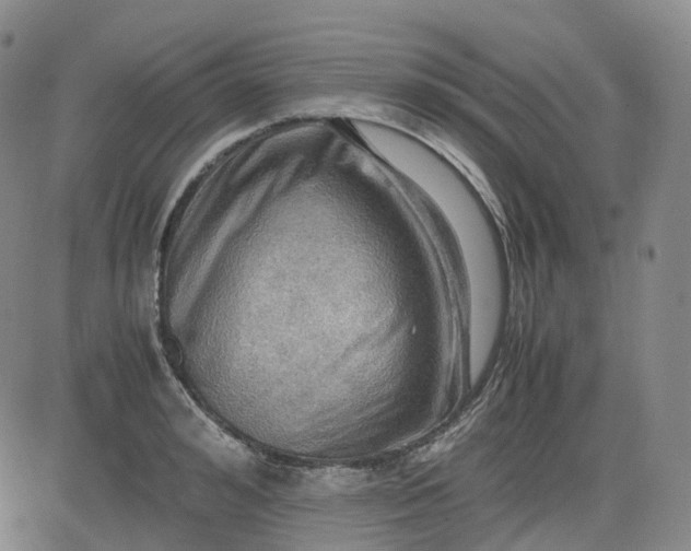 X0000083560992200702231558