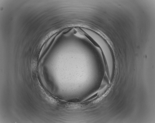 X0000083560993200702231558