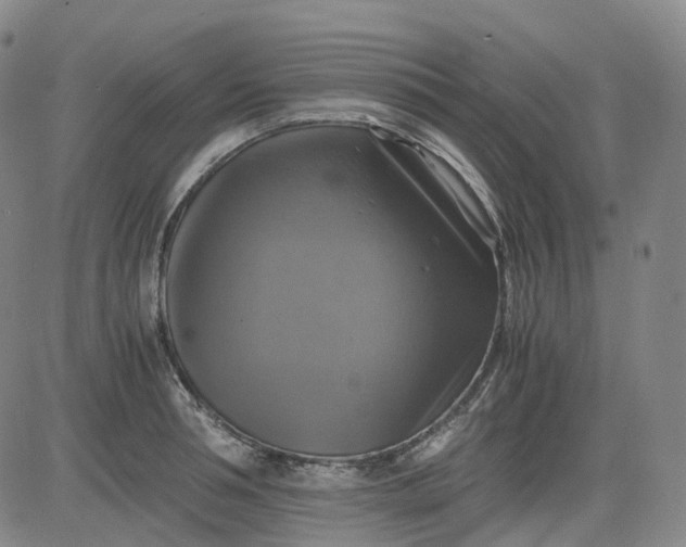 X0000083560994200702231558