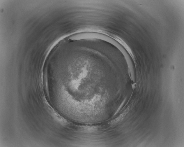 X0000083560996200702231558