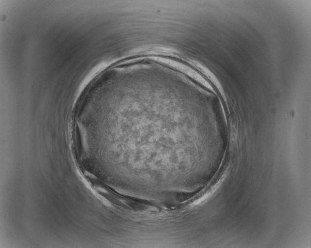 X0000083560997200702231558