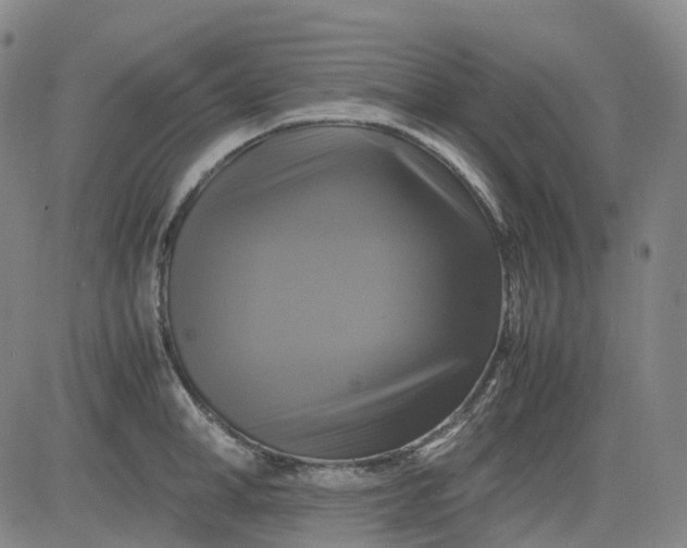 X0000083560998200702231558