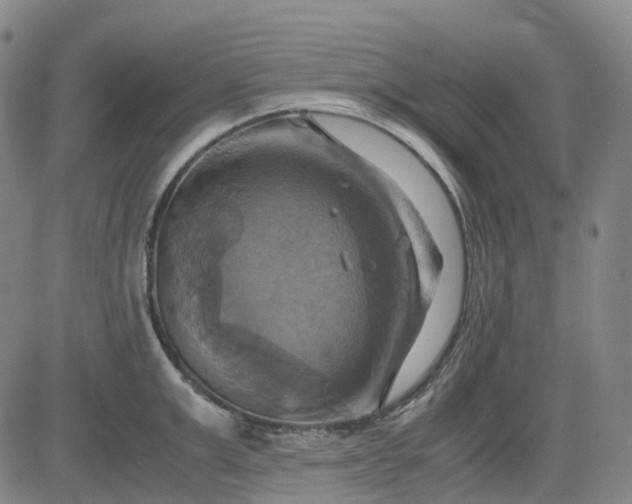 X0000083560999200702231558