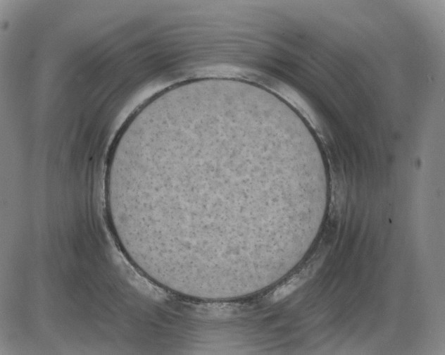 X0000083561000200702231558