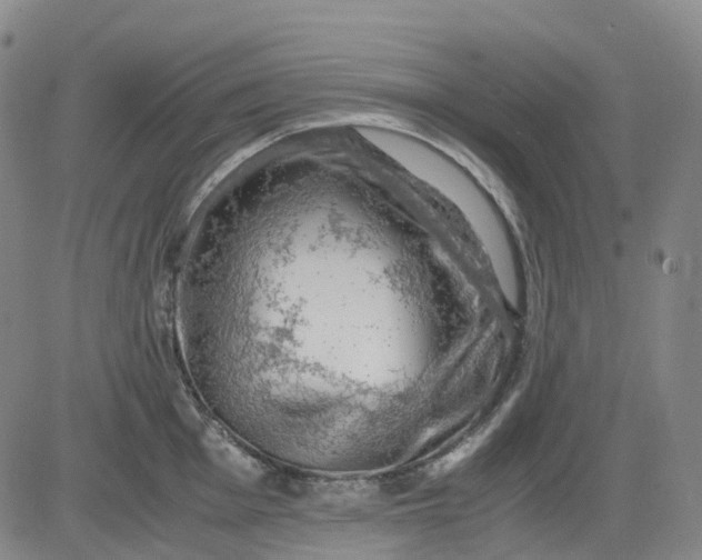 X0000083561001200702231558