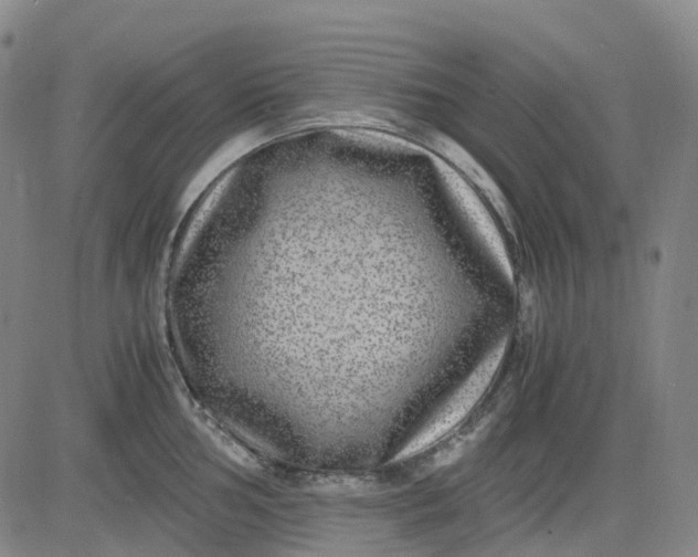 X0000083561002200702231558