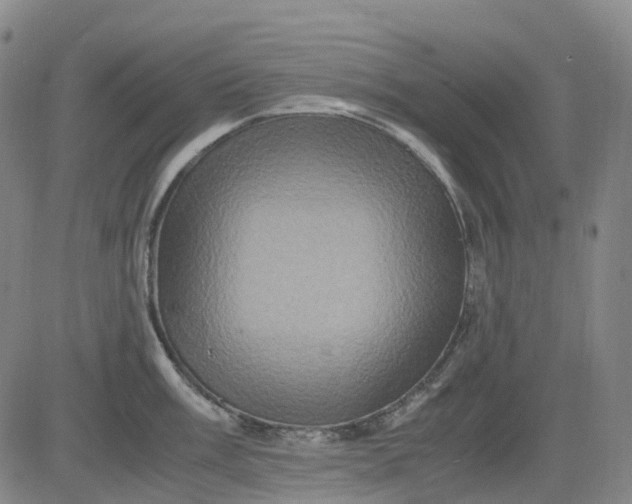 X0000083561003200702231558