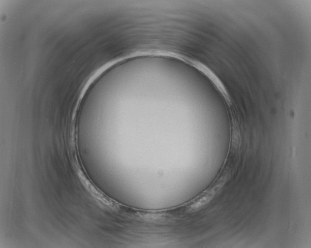 X0000083561004200702231558