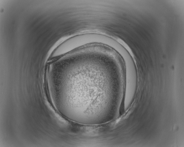 X0000083561005200702231558