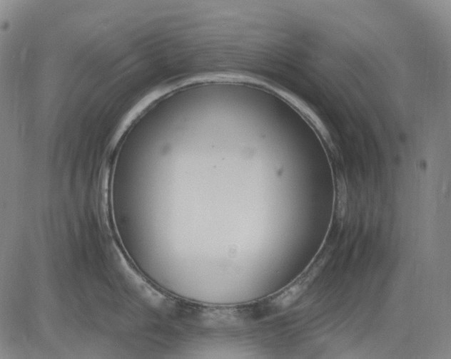 X0000083561006200702231558