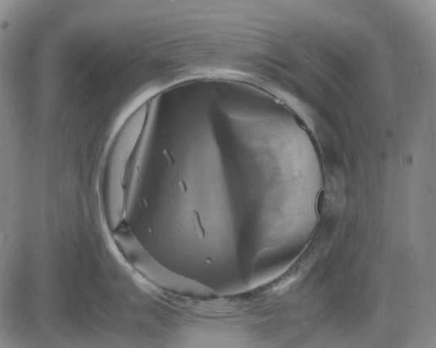 X0000083561007200702231558