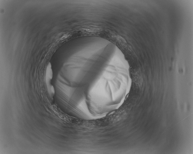 X0000083561009200702231557