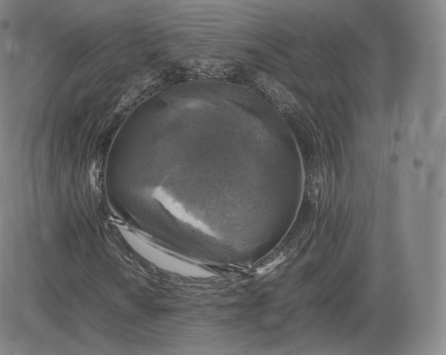 X0000083561010200702231557