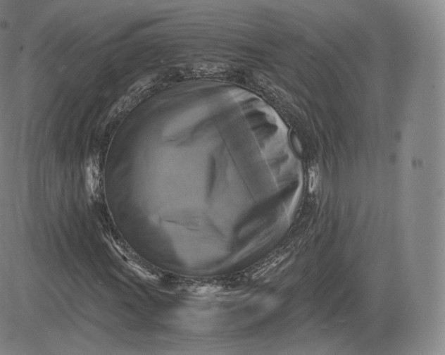 X0000083561011200702231557