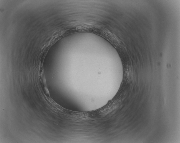 X0000083561012200702231557