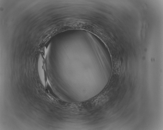 X0000083561013200702231557