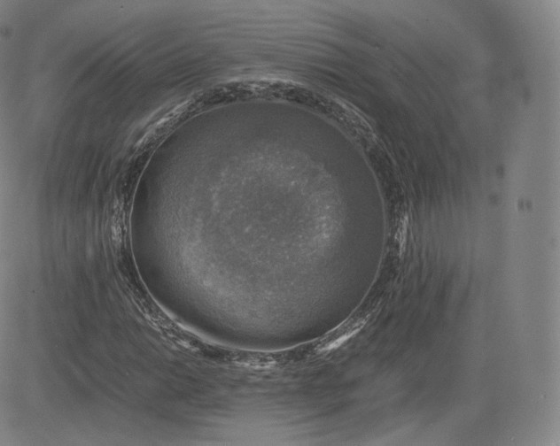 X0000083561014200702231557