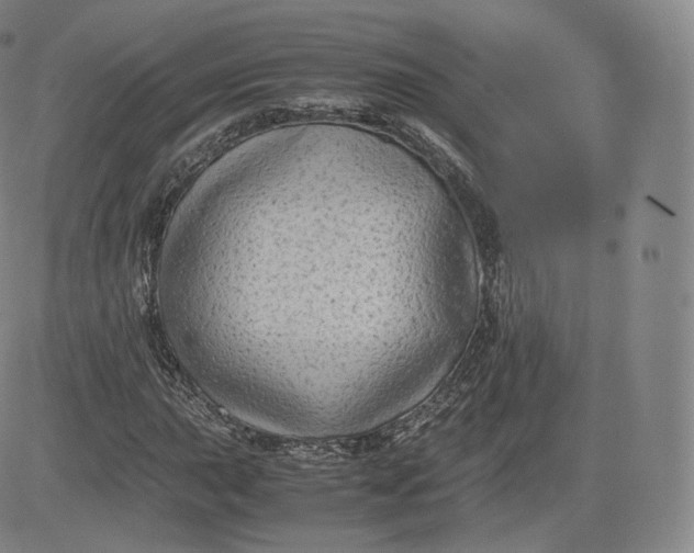 X0000083561015200702231557