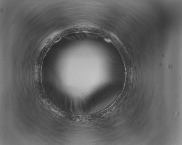 X0000083561016200702231557